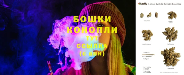 ГАЛЛЮЦИНОГЕННЫЕ ГРИБЫ Струнино