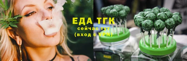 хмурый Тавда