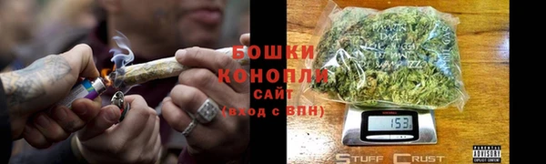 ГАЛЛЮЦИНОГЕННЫЕ ГРИБЫ Струнино