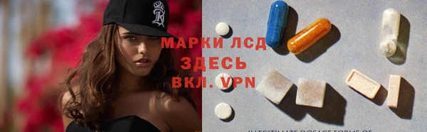 ГАЛЛЮЦИНОГЕННЫЕ ГРИБЫ Струнино