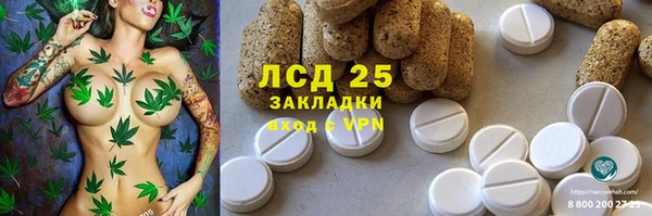 ГАЛЛЮЦИНОГЕННЫЕ ГРИБЫ Струнино