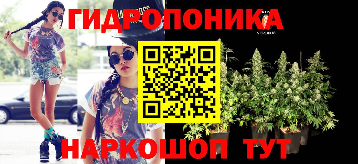 Бошки Шишки Amnesia  Вход с VPN  Марихуана индика  Конопля SATIVA & INDICA  Марихуана VHQ  Боровичи 